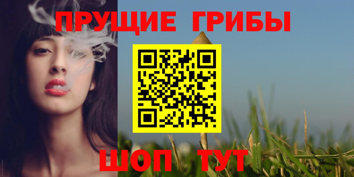 Курчалой  Псилоцибиновые грибы Psilocybe  Вход с VPN 