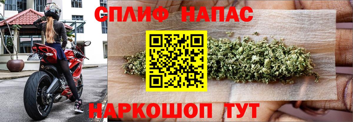 Каннабис MAZAR Курчалой